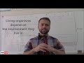 Ecological Concepts and Interactions