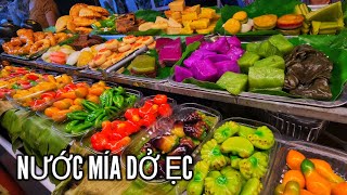 Khám phá THẢO CẦM VIÊN Lễ hội Sắc Màu đông đen như Lễ hội Bánh Mì 2026