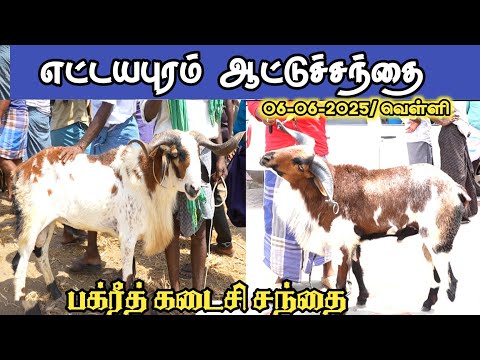 6-06-2025/ எட்டையாபுரம் வெள்ளிக்கிழமை ஆட்டுச் சந்தை தூத்துக்குடி மாவட்டம்
