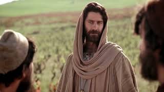 Workers In The Vineyard(Kingdom)