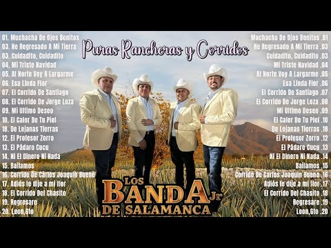 Los Banda Jr. De Salamanca ⚡ 20 Grandes Éxitos ~ Puras Rancheras y Corridos Mix