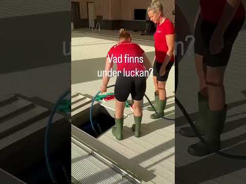 Girls is smarter then the coach🤯 #facts #trending #shorts