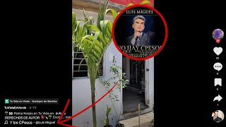 Crítica a @Countryballslatam2332 | Crítica Hecho por = @Countrylls_T_rex​ [No tengo Miniatura]