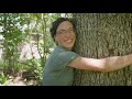 Grass Biology and Plant Adaptations