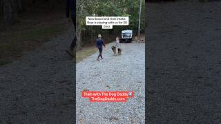 New Training Program With The Dog Daddy.