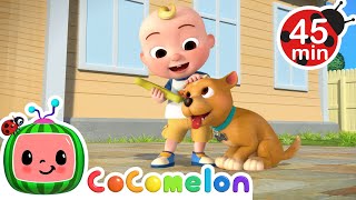 Doggie Care Day! | CoComelon Kids Songs & Nursery Rhymes