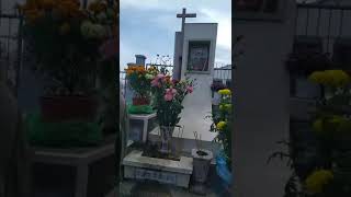 Tet2025 01