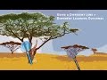 Crosscutting Concepts in Education