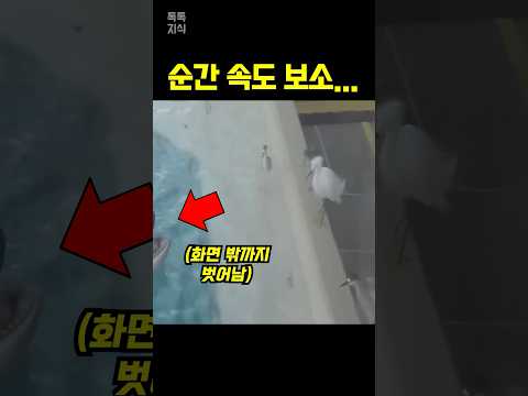 물에 무언가를 뱉더니…