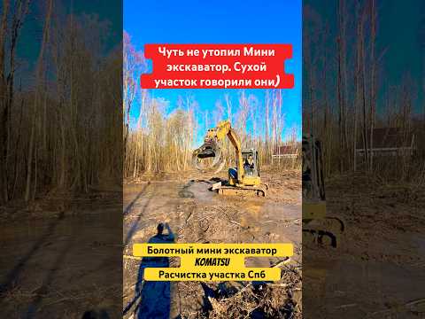 ИДЕАЛЬНАЯ РАСЧИСТКА ДАЧНОГО УЧАСТКА #shorts #топ #экскаватор #дача #участок #дом #стройка #спб #сад