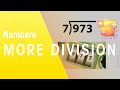 Arithmetic Operations and Remainders