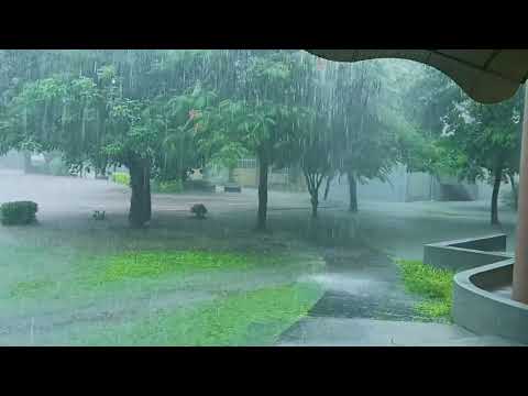 20210802新港暴雨，降雨量全國第1實況 - YouTube
