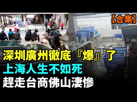 【合集】1800萬人的深圳廣州徹底『爆』了；上海究竟有多慘？失業大軍睡滿街；趕走台商後，960萬人的佛山太淒慘；2025年最慘死法到杭州 #看大陸