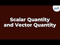 Understanding Scalar and Vector Quantities