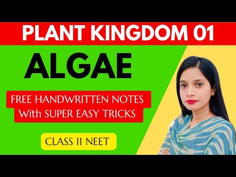 PLANT KINGDOM 01- ALGAE | CLASS -11| CBSE | NCERT | NEET | Handwritten NOTES and SUPER EASY TRICKS |