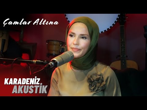 Çamlar Altına  - İpek Karabağır | Karadeniz Akustik