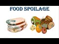 Understanding Food Spoilage
