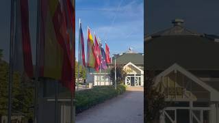 What to look out for at the 2026 BBAG Yearling Sale 🇩🇪