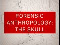 Differences in Male and Female Skulls