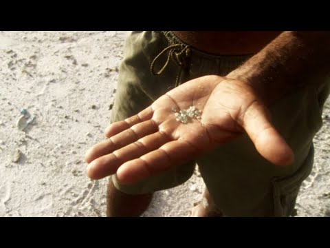 YouTube video thumbnail: The White Diamond: Welcome to the Amazon Rainforest