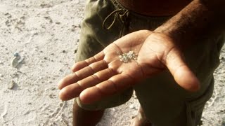 YouTube video thumbnail: The White Diamond: Welcome to the Amazon Rainforest