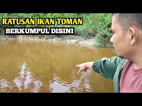 GILAK PAK,ADA KOLAM ISINYA TOMAN SEMUAAA