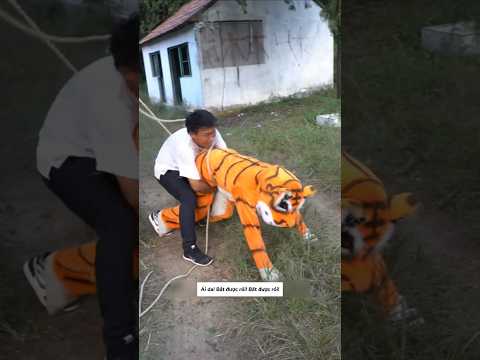 Bây giờ nuôi Hồ Lý Tiên mới đỉnh😂