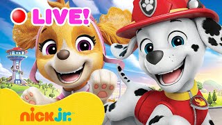 EN VIVO: ¡Los rescates más valientes de PAW Patrol con Marshall, Zuma y más!