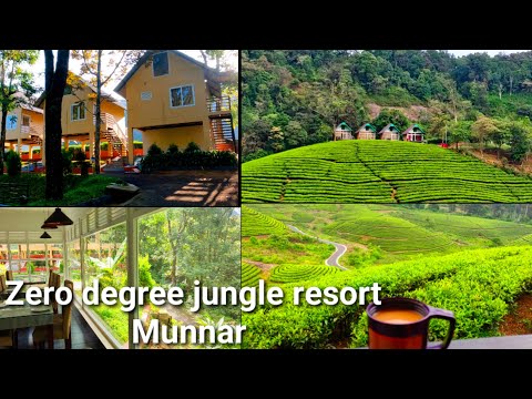 Zero degree jungle resort in munnar 4k |Affordable cottages in munnar in the middle of tea estate