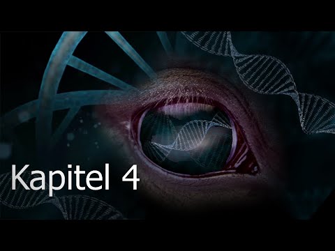 Das Geheimnis der Winters Academy - KAPITEL 4