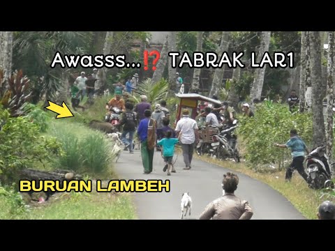 Tragedi Buruan LAMBEH ⁉️ Keluarnya Monster Sang Penghuni