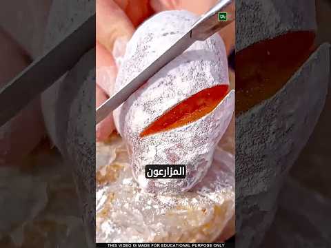 اذا رأيت هذا الشيء فلا تأكله 💀😲🙏