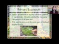Exploring Primary Succession in Ecology