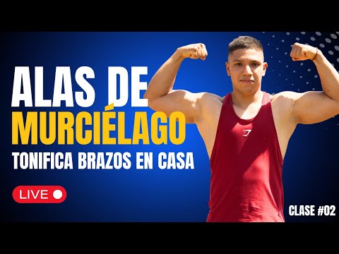 Cómo ELIMINAR ALAS de MURCIÉLAGO | 🔥 Los mejores ejercicios para tonificar brazos en casa