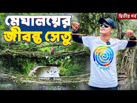 মেঘালয়ের জীবন্ত সেতু | Double Decker Living Root Bridge |  Meghalaya Tourist Places | Cherrapunji