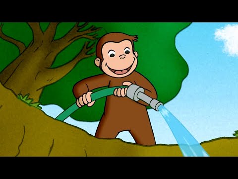 ¡Jorge hace un estanque! | Jorge El Curioso En Español