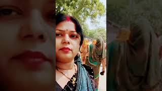 #viral #viralvideo #video #reels #shortsfeed #shortvideo #trending #youtubevideo