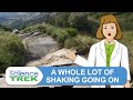 Earthquake Preparedness and Knowledge