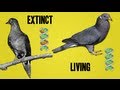 De-Extinction and Genetic Techniques