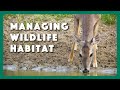 Wildlife and Land Management Concepts