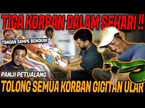 SERUM ANTI BISA LANGKA‼️PANJI TOLONG TIGA KORBAN GIGITAN ULAR BERBISA