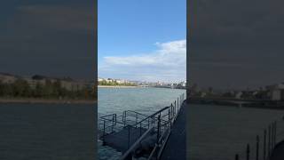 Rheinschwimmen Basel #basel #rhein #swimming #summer #youtubeshorts #shorts