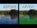 Eutrophication and Nutrient Management