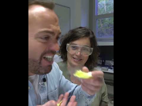 A bocados - Cocinamos con nitrógeno líquido