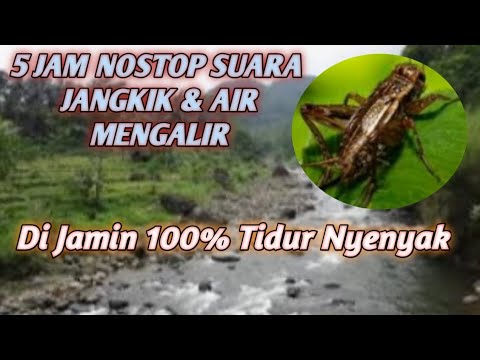 3 Jam Suara Jangkrik & Air Mengalir Bikin Tenang Pikiran #suarajangkrik #suaraair #suaraairgemericik
