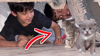 بزون كيوت دخلت للبيت 🐈🥰