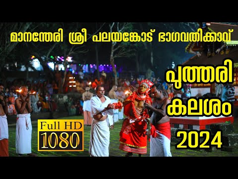 മാനന്തേരി ശ്രീ പലയങ്കോട് ഭഗവതി കാവ് പുത്തരി കലശം 2024