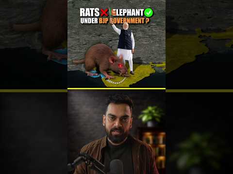 Rats became bigger under bjp government ? #bjp #modi #shorts