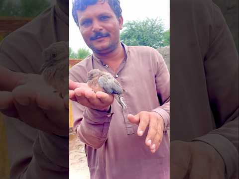 Ek din ye bacha sub ka bap banega 😱🥰❤️#youtubeshorts #viralvideo #shorts #shortvideo
