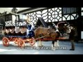 History and Evolution of Heavy Horses